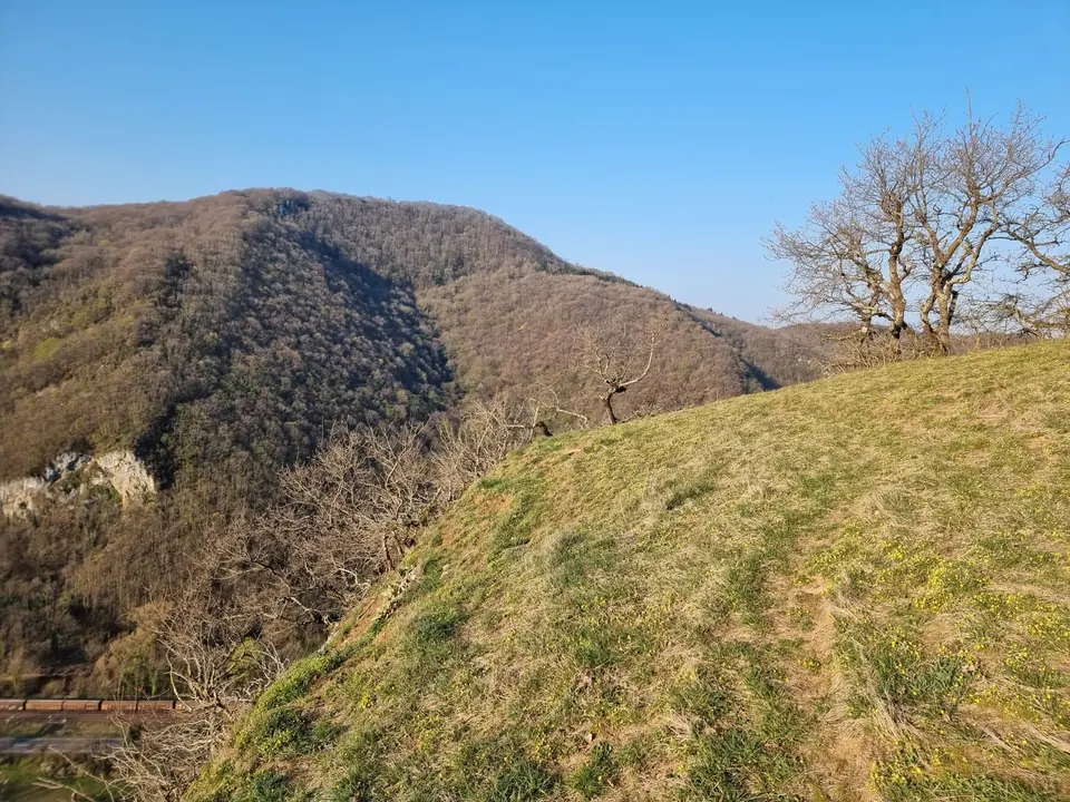 Une pelouse fleurie au bord du vide, la voie ferrée tout en bas