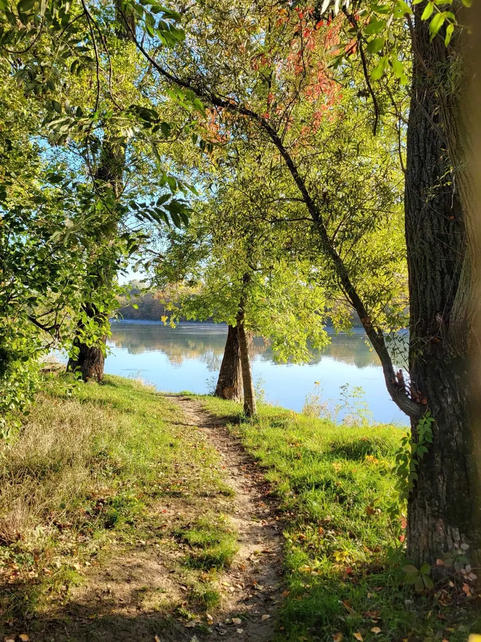 Un single file au ras de l'eau, les arbres de la rive en miroir sur le Rhône