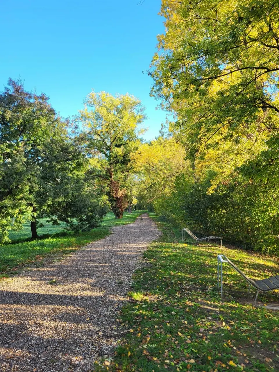 Une large allée gravillonnée sous les feuillages dorés de l'automne, chaises longues au bord du chemin