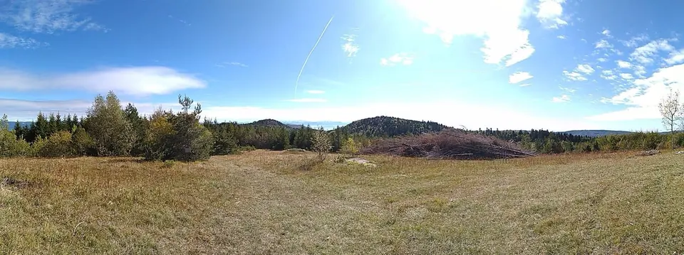 Une clairière sur le plateau, entre sapins et croupes boisées