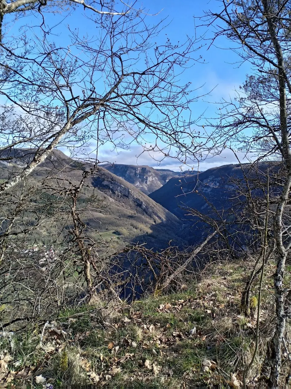 La cluse de l'Albarine et ses falaises, entre les branches nues